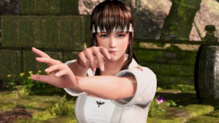 Игра Dead or Alive 6 (VI) (PS4) Playstation 4