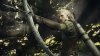 Dragon’s Dogma II (2): Dark Arisen (Game-Key Card) Русская Версия (Switch 2)