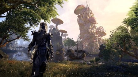Игра The Elder Scrolls Online: Tamriel Unlimited (PS4) USED Б/У Playstation 4
