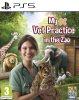 My Vet Practice in the Zoo Русская Версия (PS5)