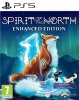 Spirit of the North: Enhanced Edition Русская Версия (PS5)