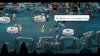Игра Nine Witches: Family Disruption (Limited Run) Русская версия (PS4) Playstation 4