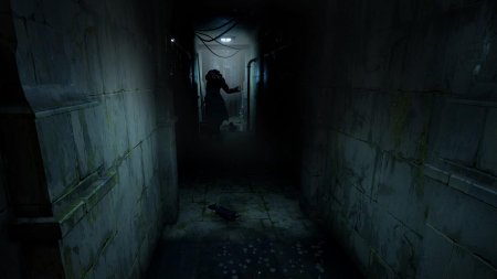 игра Horror Tales: The Wine Русская Версия (Switch) для Nintendo Switch
