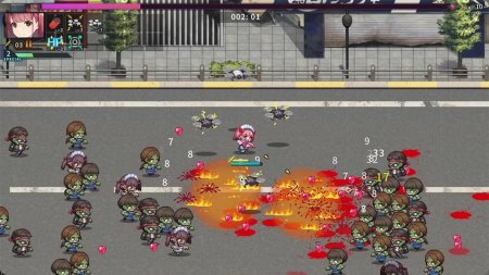 игра Maid of the Dead (Switch) для Nintendo Switch