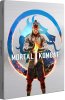 Mortal Kombat 1 Steelbook Edition Русская Версия (PS5)