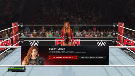 Игра WWE 2K25 (PS4) Playstation 4