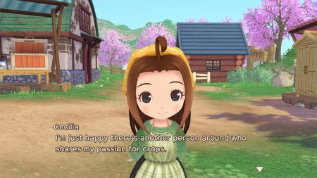 игра Story of Seasons: A Wonderful Life (Switch) для Nintendo Switch