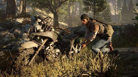 Игра Жизнь после (Days Gone) Русская Версия (PS4) USED Б/У Playstation 4