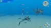 игра Endless Ocean Luminous (Switch) для Nintendo Switch