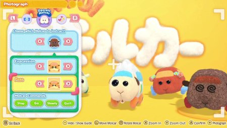 игра Pui Pui Molcar Let's! Molcar Party! (Switch) для Nintendo Switch