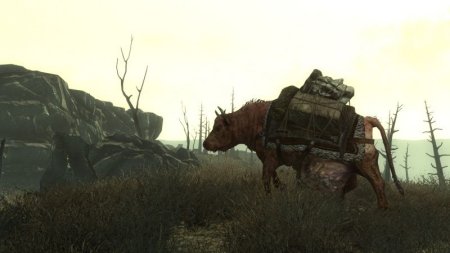 Купить игру Fallout 3 Русская Версия (PS3) USED Б/У для Sony Playstation 3