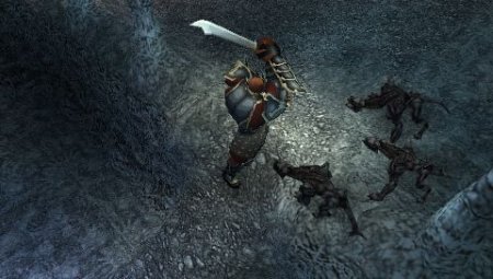  Dungeon Siege: Throne of Agony (PSP) 