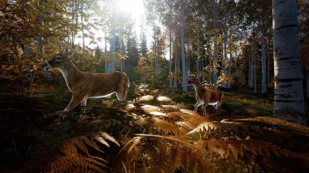Игра Hunting Simulator 2 Русская Версия (PS4) Playstation 4