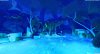 The Smurfs 2 (Смурфики 2): Узник зеленого камня (The Prisoner of the Green Stone) (PS5)