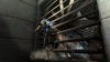 Купить игру Metal Gear Rising: Revengeance (PS3) для Sony Playstation 3