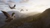 Купить Microsoft Xbox Series X/S скидка, магазин, дешево, цена