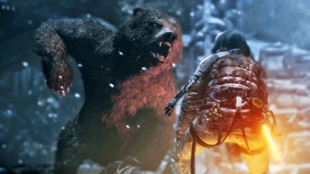 Игра Rise of the Tomb Raider 20ти летний Юбилей (с поддержкой PS VR) Русская Версия (PS4) Playstation 4