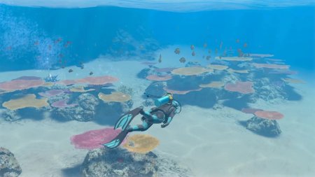 игра Endless Ocean Luminous (Switch) для Nintendo Switch