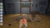 игра My Vet Practice in the Zoo Русская Версия (Switch) для Nintendo Switch