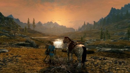 игра The Elder Scrolls 5 (V): Skyrim (Switch) USED Б/У для Nintendo Switch