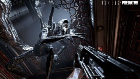Купить игру Aliens vs Predator (Чужой против Хищника) Русская Версия (PS3) USED Б/У для Sony Playstation 3