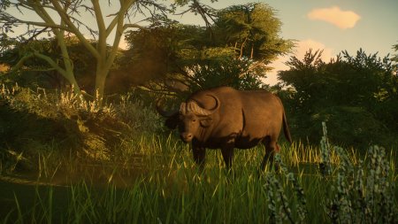 Planet Zoo: Console Edition (PS5)