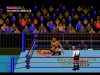 Супер Реслинг Мания (WWF Super Wrestle Mania) Русская Версия (16 bit) 