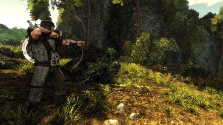 игра Risen Русская Версия (Switch) для Nintendo Switch