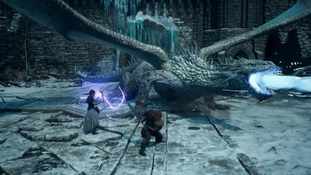 Dragon’s Dogma II (2): Dark Arisen Русская Версия (PS5)