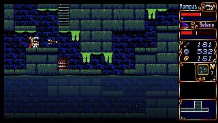 игра Pampas and Selene Русская Версия (Switch) для Nintendo Switch