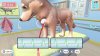 игра My Universe: Pet Clinic Cats and Dogs Panda Edition (Switch) для Nintendo Switch