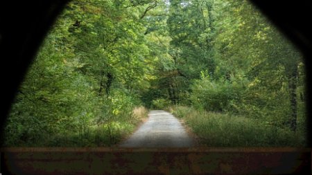 Conscript Deluxe Edition Русская Версия (PS5)