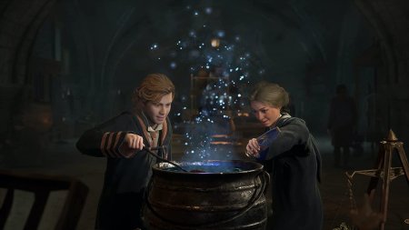 Игра Hogwarts Legacy (Хогвартс. Наследие) Deluxe Edition Русская Версия (PS4/PS5) Playstation 4