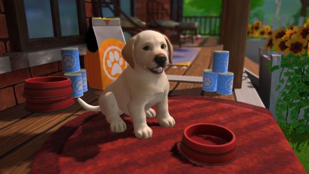 игра Little Friends: Puppy Island Русская Версия (Switch) для Nintendo Switch