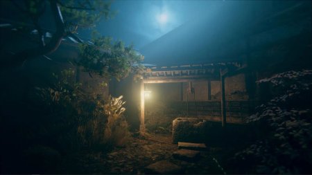 игра Hollow Cocoon Специальное Издание (Special Edition) Русская Версия (Switch) для Nintendo Switch