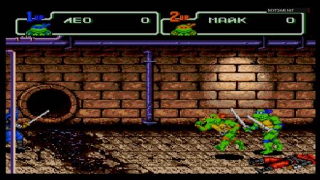 Коллекционный сборник 2 в 1 Черепашки Ниндзя (Ninja Turtles) (16BC-006) Русская Версия (16 bit) 