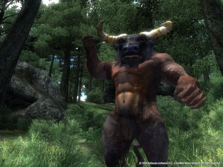 The Elder Scrolls 4 (IV): Oblivion (Xbox 360/Xbox One) USED Б/У