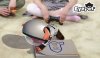 Купить игру EyePet Русская Версия для PlayStation Move (PS3) USED Б/У для Sony Playstation 3
