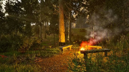 Park Ranger Simulator Русская Версия (PS5)