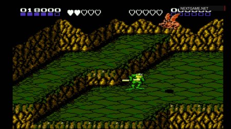 Боевые Жабы 2 (Battle Toads 2) Русская Версия (8 bit) для Денди 