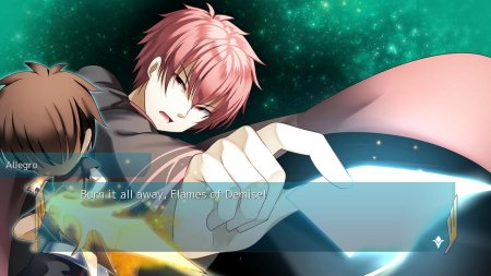 Игра Archetype Arcadia (PS4) Playstation 4