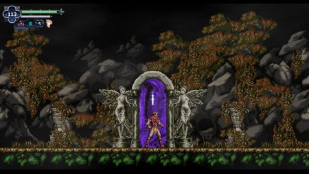 игра Chronicles of the Wolf (Switch) для Nintendo Switch
