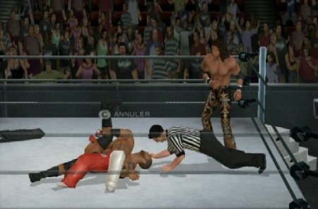  WWE SmackDown vs Raw 2011 (PSP) 