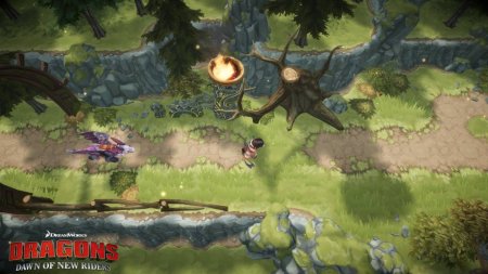 Игра Dragons: Dawn of New Riders (Как приручить Дракона 3) (PS4) Playstation 4