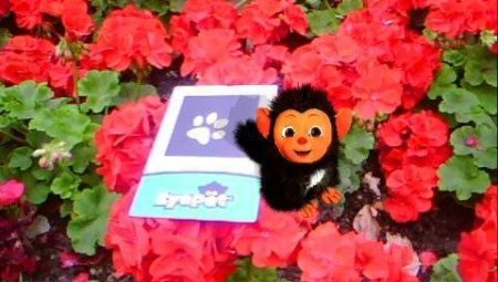  EyePet Приключения (Требуется камера GoCam) Русская Версия (PSP) 