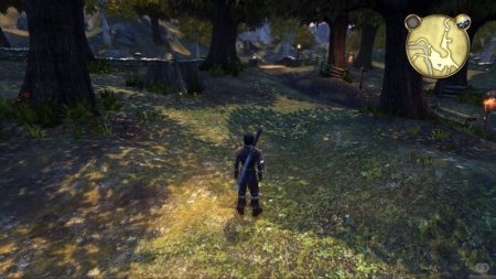 Fable Anniversary Русская Версия (Xbox 360/Xbox One) USED Б/У